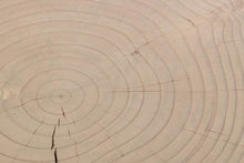 Couchtisch aus Zedernholz